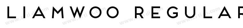 LiamW00 Regular字体转换